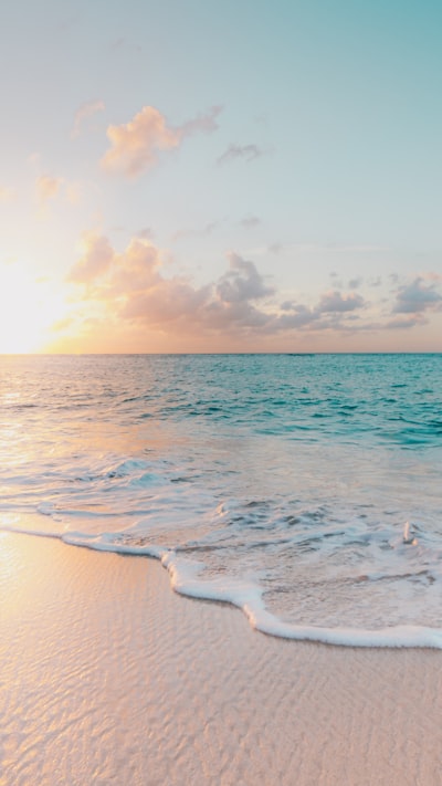 Beach at golden hour